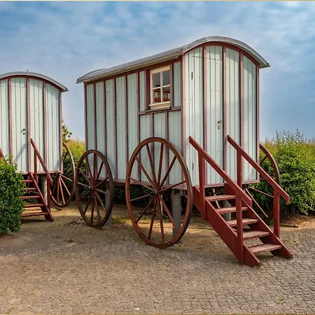 Apartment Regina Maris Ostseestern Heringsdorf (Usedom)